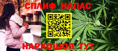 PSILOCYBIN Заводоуковск