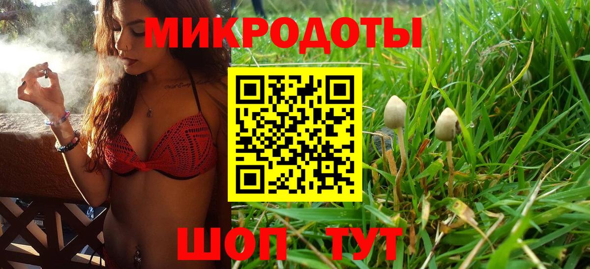 Псилоцибиновые грибы ЛСД Елабуга