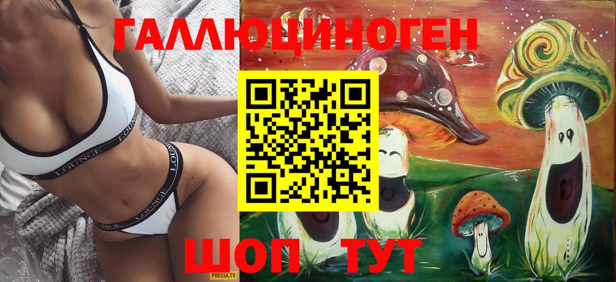 сколько стоит  Галлюциногенные грибы Psilocybine cubensis  Вход с VPN  Елабуга 