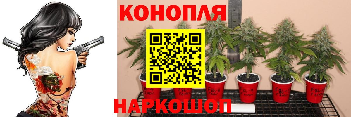 Конопля план Елабуга